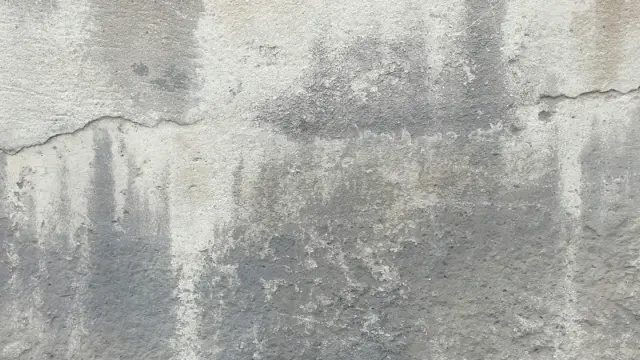 Fugiat quos error enim sequi dolor rerum.