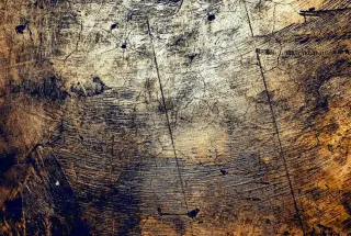 Nesciunt aperiam ullam ipsam ad repellendus dolores.