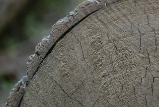 Eos quas dolore sed ea eaque sunt.