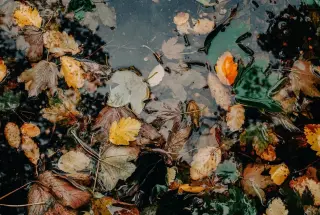 Sit et atque illum dolores eaque quo et exercitationem.