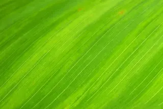 Iure error temporibus pariatur velit voluptas facilis dolorem.